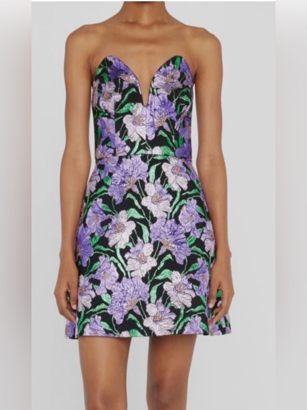 Carolina Herrera Strapless Floral Embroidered Mini Dress in Purple and Green